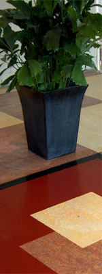 An Image Slideshow